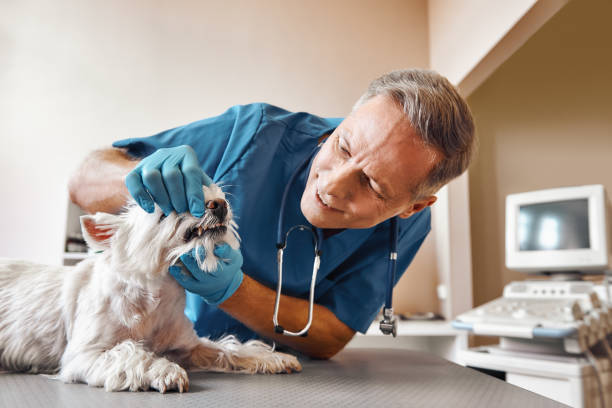 Best Emergency Tooth Extraction  in Bedford, VA